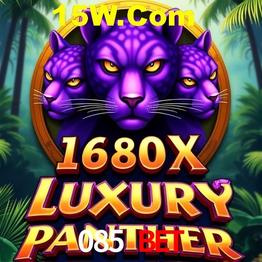 Experiência VIP 085 Bet